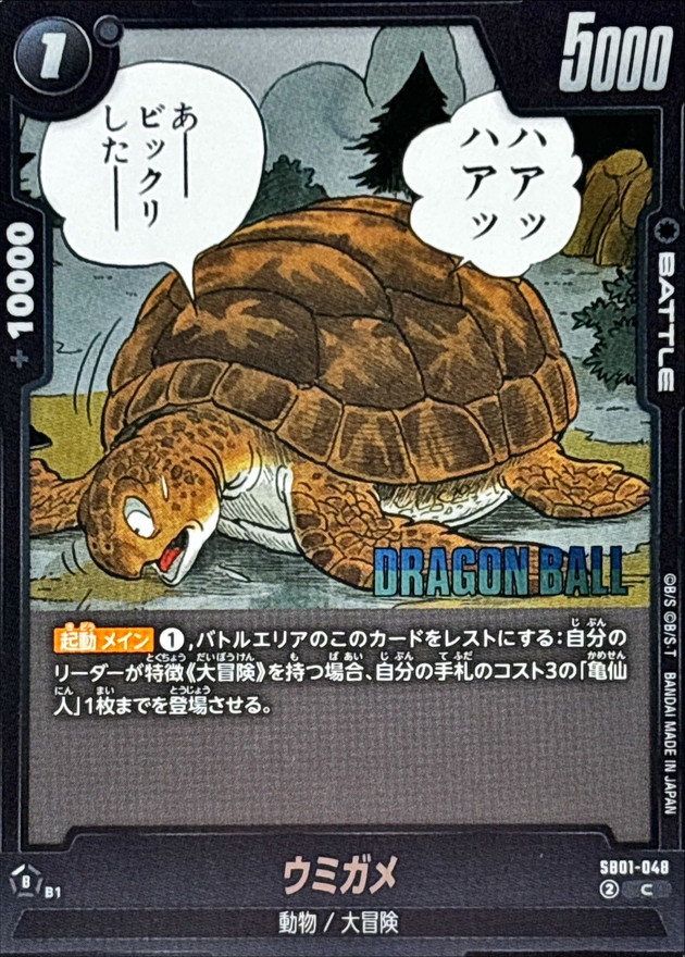 Turtle card art