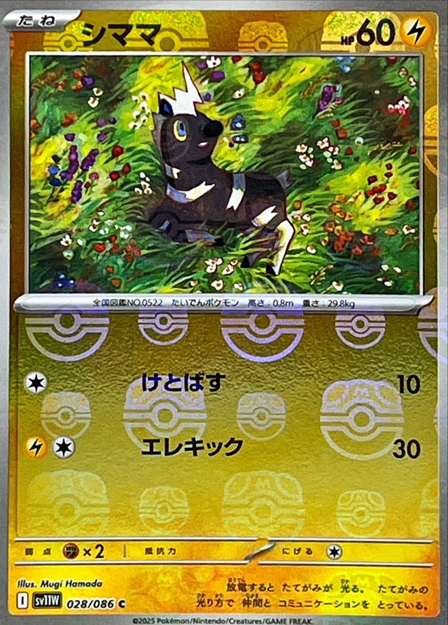 シママ(マスターボール)