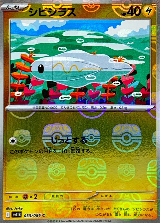 シビシラス(マスターボール)