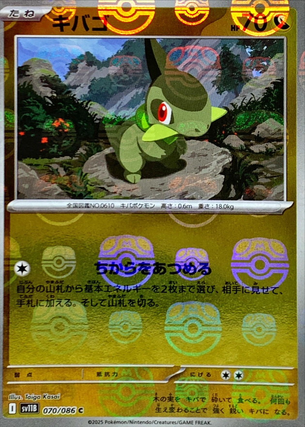 キバゴ(マスターボール)
