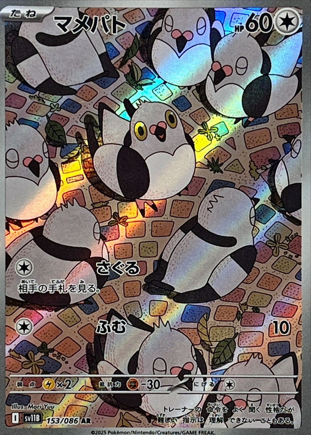 マメパト