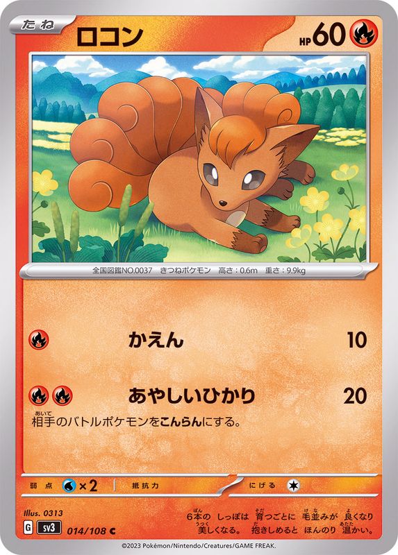 ロコン