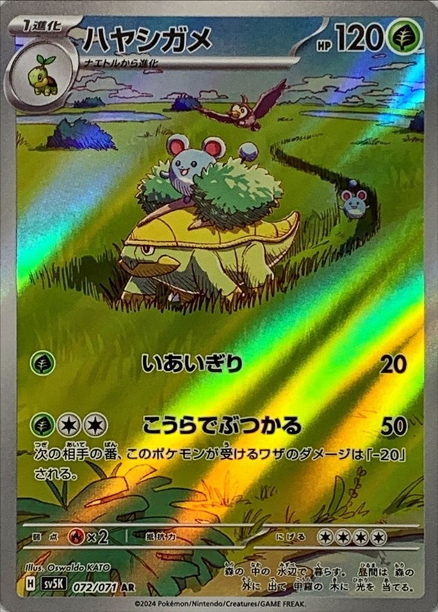 ハヤシガメ