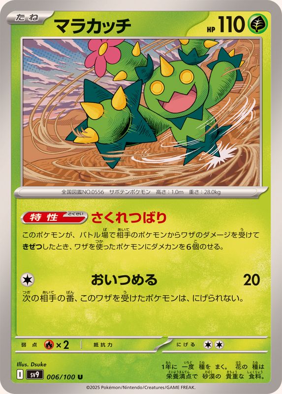 マラカッチ(SV9)